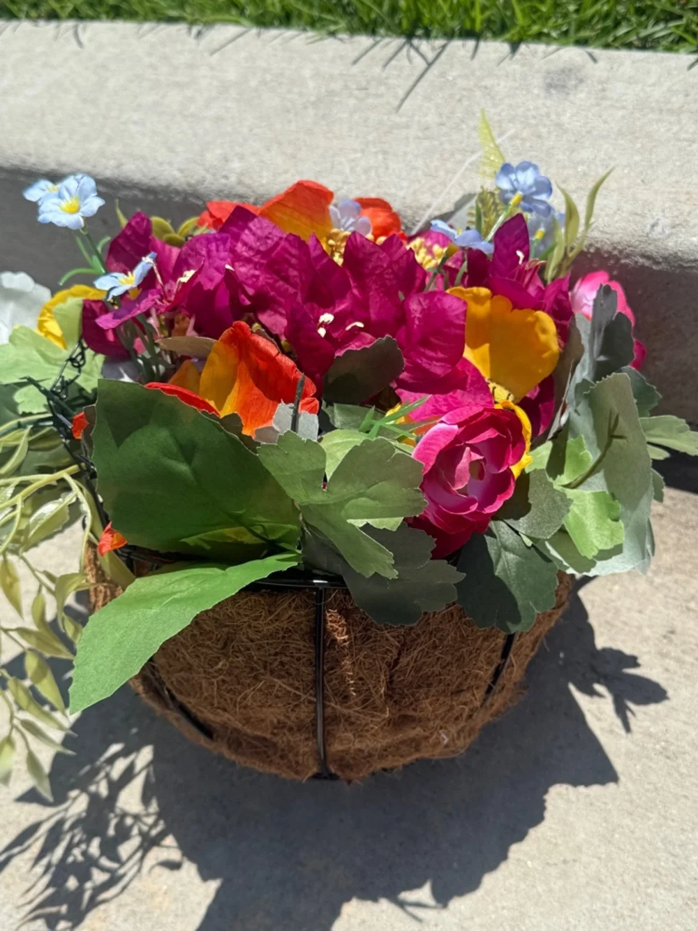 Primrose Vintage Hanging Plant - NWT